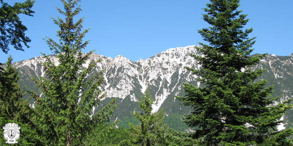meteotulles