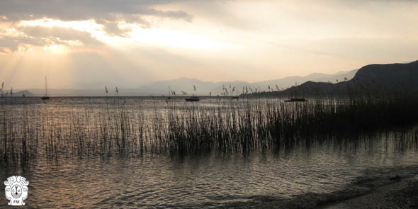 meteotulles