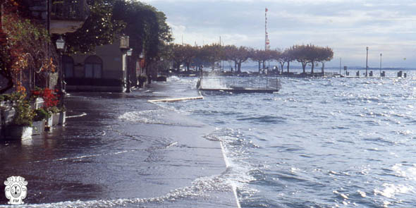 meteotulles