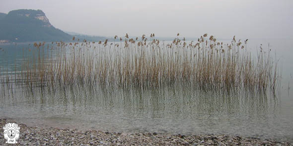 meteotulles