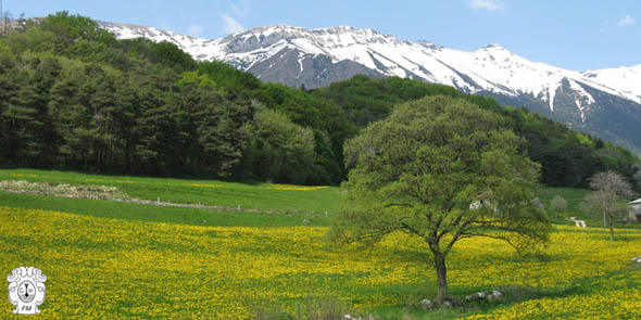 meteotulles