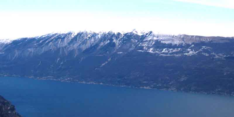 Monte