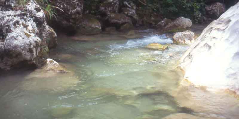 Torrente
